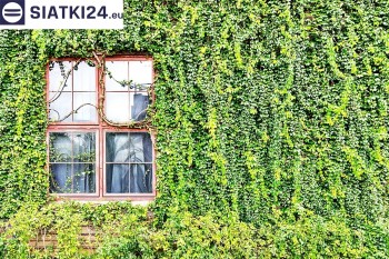 Siatki Krynica-Zdrój - Siatka z dużym oczkiem - wsparcie dla roślin pnących na altance, domu i garażu dla terenów Krynicy-Zdrój