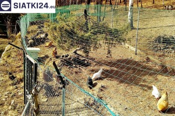Siatki Krynica-Zdrój - Siatka na woliery - zabezpieczenia ptaków w hodowli dla terenów Krynicy-Zdrój